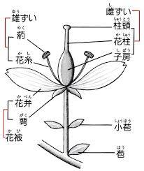 uJ^N Ԃ...v̉摜